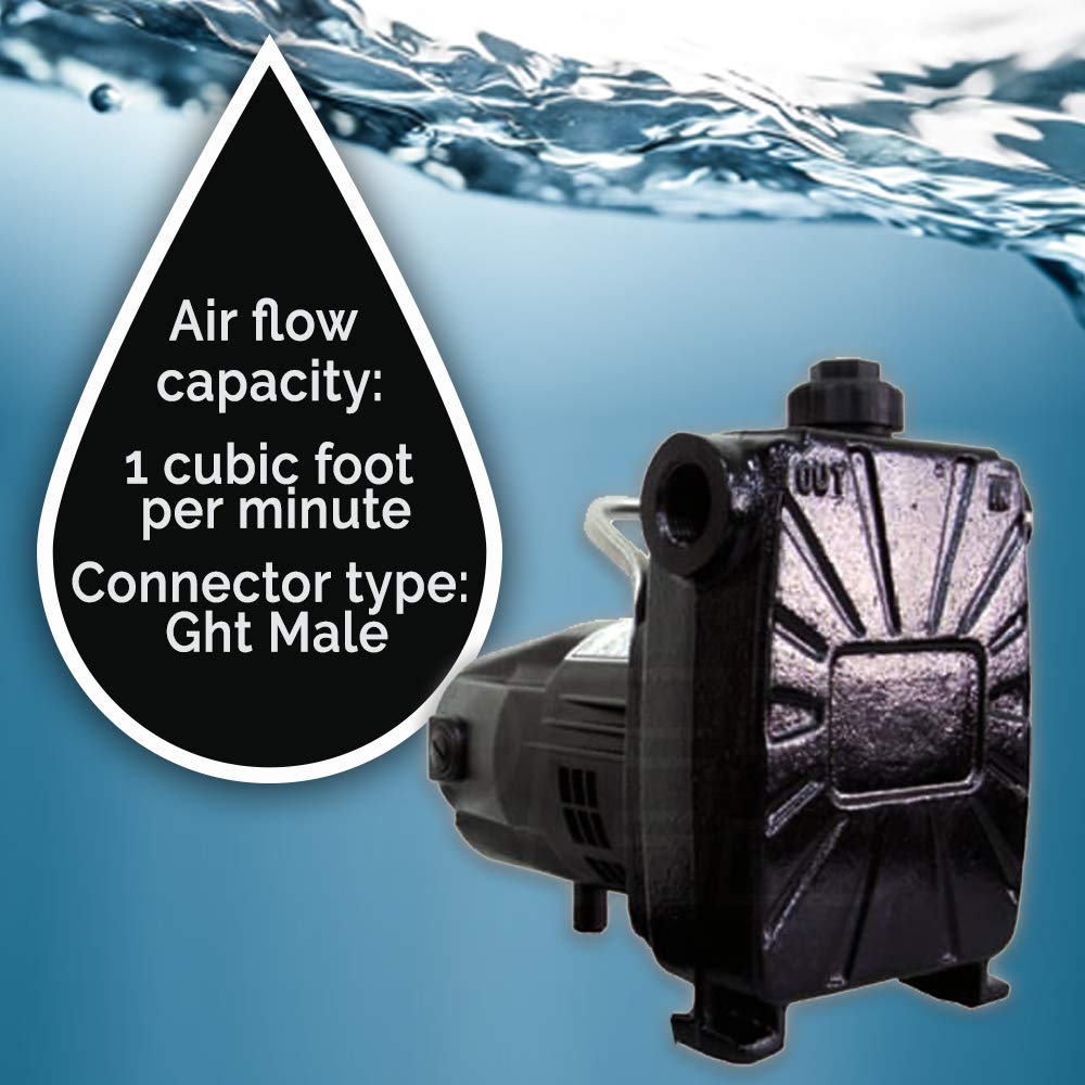 Barnes 134677 Model BT12 Transfer Pump, 1/12 hp, 120V, 1 Phase, 3/4" GHT Vertical Discharge, 45' Head, Manual