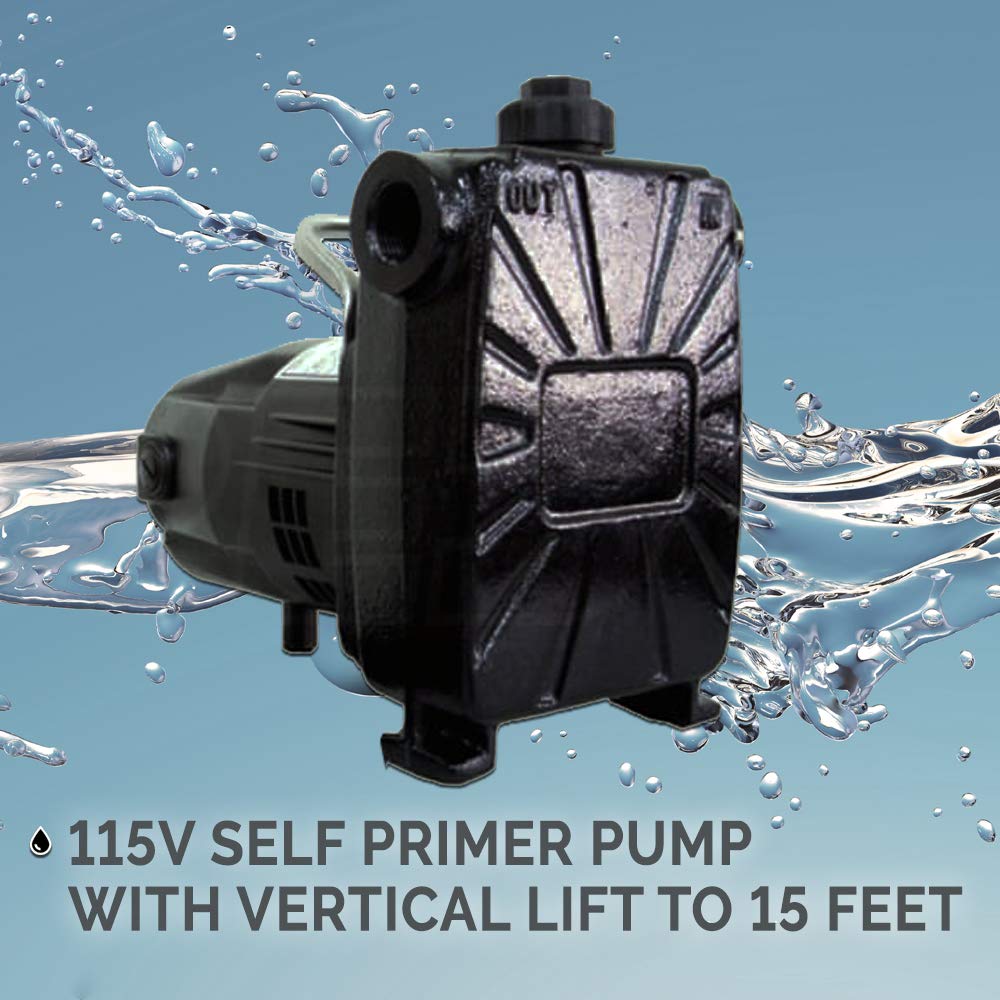 Barnes 134677 Model BT12 Transfer Pump, 1/12 hp, 120V, 1 Phase, 3/4" GHT Vertical Discharge, 45' Head, Manual