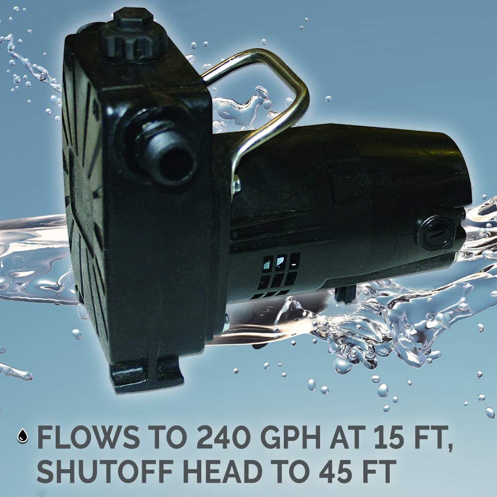 Barnes 134677 Model BT12 Transfer Pump, 1/12 hp, 120V, 1 Phase, 3/4" GHT Vertical Discharge, 45' Head, Manual
