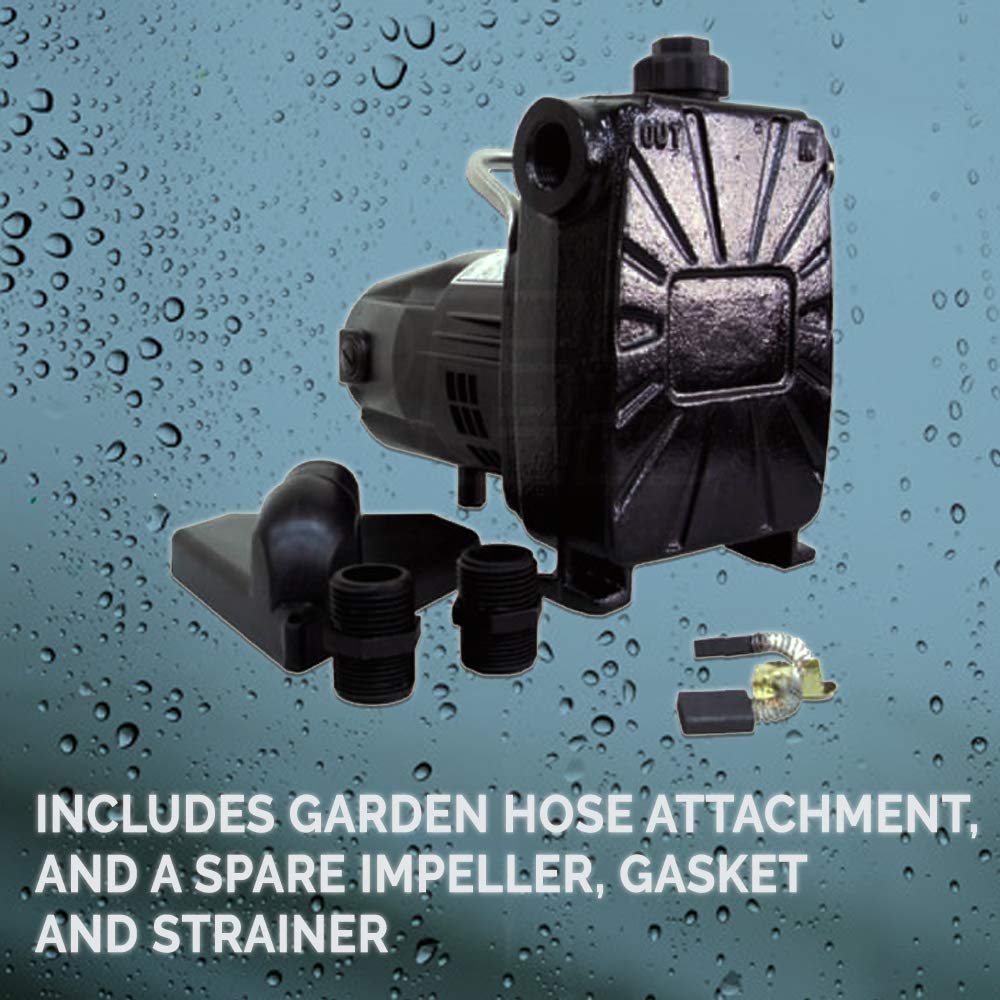 Barnes 134677 Model BT12 Transfer Pump, 1/12 hp, 120V, 1 Phase, 3/4" GHT Vertical Discharge, 45' Head, Manual