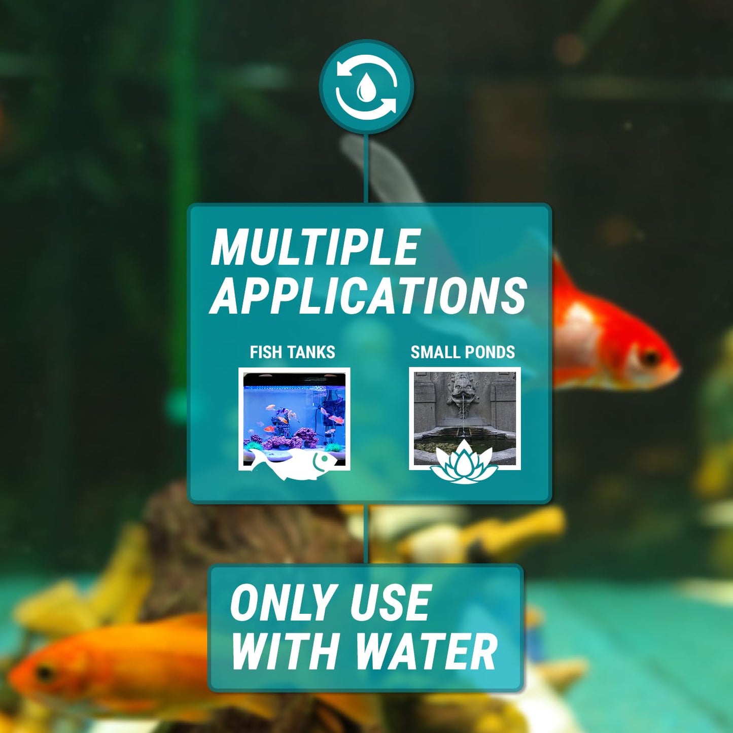 TERA PUMP TRAQUA-XXL Powerful Electric Pump for Extra Large Fish Tank Aquarium - 50 feet Hose/pump to 2nd floor, Flow Rate Control nozzle, Safety Double On Off Button with 3ft wire/Water Filter