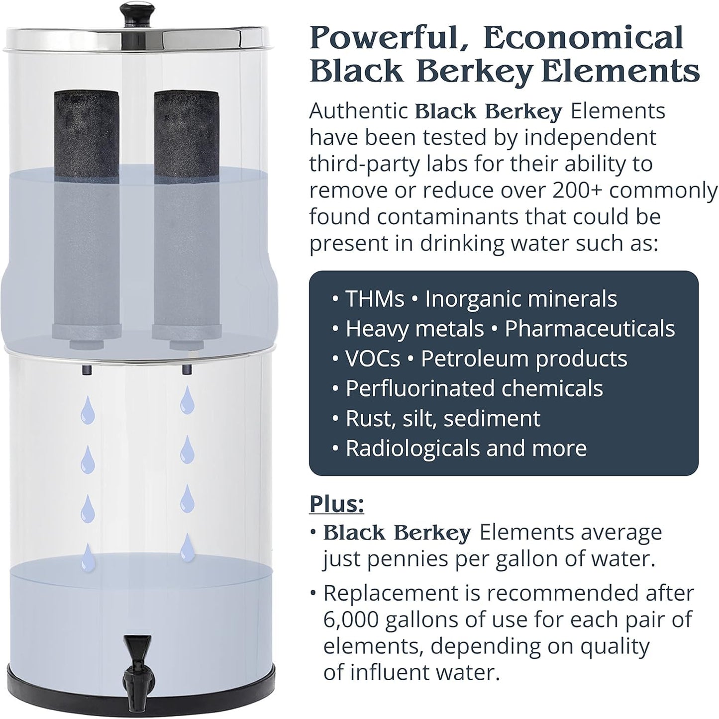 Royal Berkey Gravity-Fed Stainless Steel Countertop Water Filter System 3.25 Gallon with 2 Authentic Black Berkey Elements BB9-2 Filters
