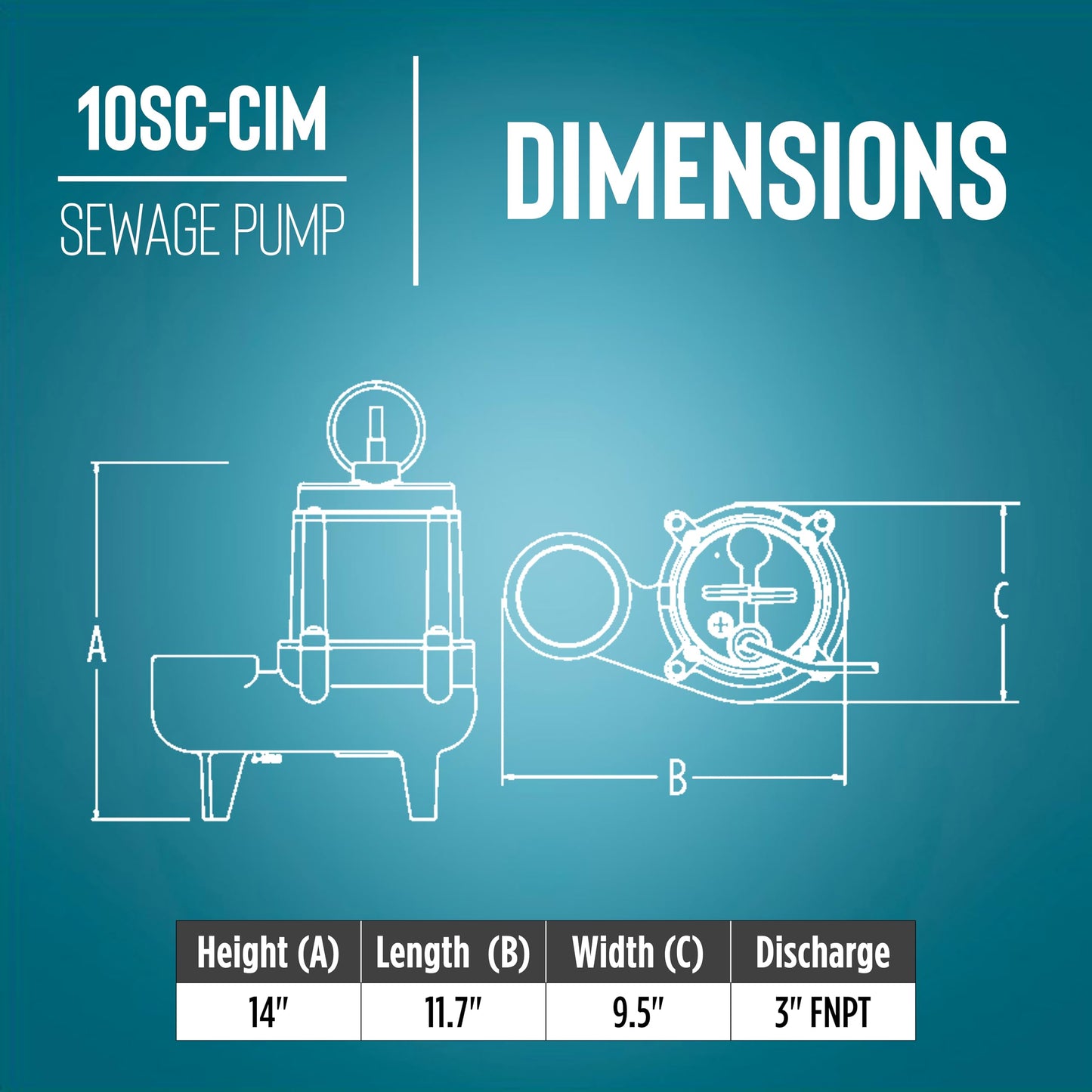 Little Giant 10SC-CIM, 115-Volt, 7800 GPH, 1/2 HP Manual Cast Iron Sewage/Effluent Pump (No Switch) with 3-inch FNPT Discharge and 20-Ft. Cord, Blue, 511435