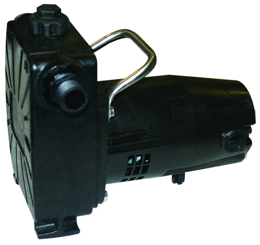 Barnes 134677 Model BT12 Transfer Pump, 1/12 hp, 120V, 1 Phase, 3/4" GHT Vertical Discharge, 45' Head, Manual