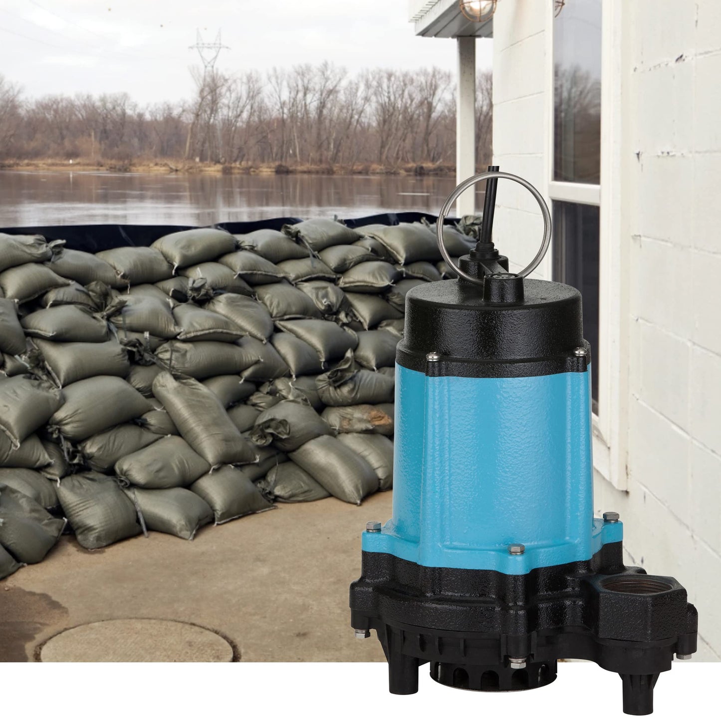 Little Giant 10EC-CIM 115-Volt, 1/2 HP, 4020 GPH Manual Cast Iron Sump/Effluent/Emergency Pump with Polypropylene base (no switch), 20-ft. cord, Blue, 510800