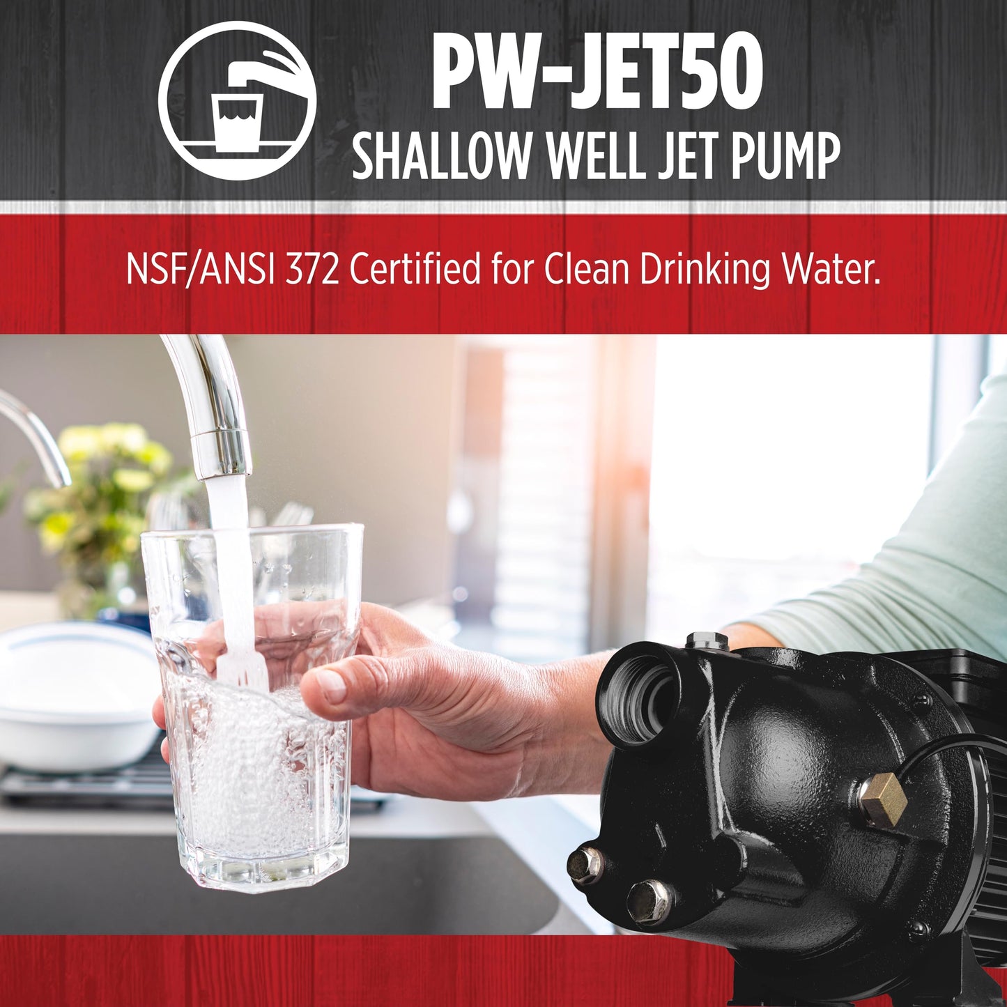 Red Lion PumpWorks 1/2 HP, 7.4 GPM, 115/230 Volt PWJET50 Cast Iron Shallow Well Jet Pump, Black 97080501